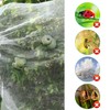 Large Fruit Tree Netting Bags with Zipper and Drawstring, Bird