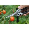 Darlac Compact Snips – Award Winning Garden Snips – Ideal