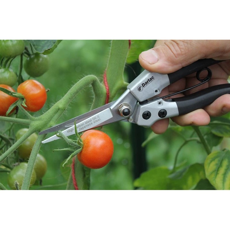 Darlac Compact Snips – Award Winning Garden Snips – Ideal