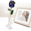 Golded Rose Flower Gift 24K Bright Deep Blue Base for