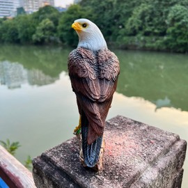 BSIRZAM Bald Eagle Figurine Descending on Tree Branch Resin Figurine Statue Table Decor for Home and Office Decor 8.5 Inches Tall