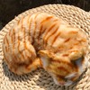 Basuo-9Q Lifelike Sleeping Tabby Cat Figurine - Realistic Curled Up