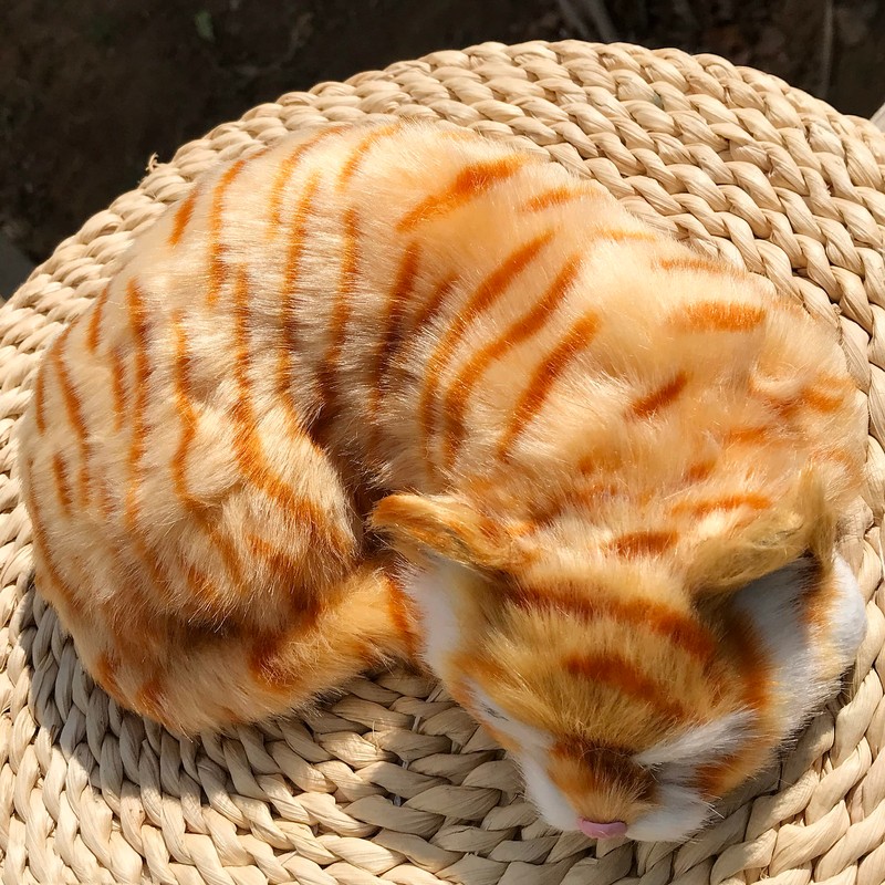 Basuo-9Q Lifelike Sleeping Tabby Cat Figurine - Realistic Curled Up