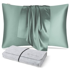 DISANGNI 100% Natural Mulberry Silk Pillow case for Hair and Skin with Hidden Zipper 22 Momme Both Sides Real Silk Pillow Case (1pc King Size 20" x36” Light Green)