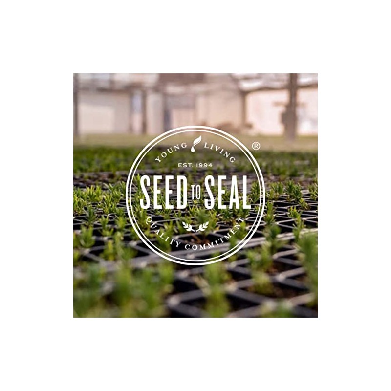 Young Living Cinnamon Bark Esssential Oils 5ml by Young Living