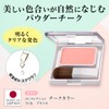 Powder Blush Color 120 Pink with Brush (Cheek, Blusher, Ruddy