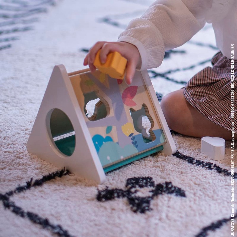 Janod - Pure Wooden Early Learning Toy with 6 Pieces