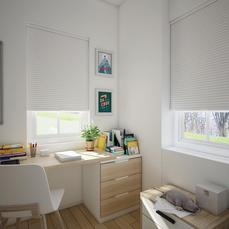 Changshade Blackout Blinds Black Out Shade for Indoor Windows, Cordless