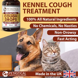 Petastical Kennel Cough Treatment for Dogs Cats Pets, Mullein Cough Drops for Dry Cough, Throat and Respiratory Support, No Nasty Chemicals, Made in UK (60ml)