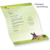 Writing Paper Set A4 Easter Easter Bunny (10 Sets Without