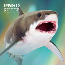 PNSO Modelos prehistóricos animales (54Aidan The Cretoxyrhina)