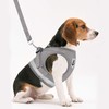 GAUTERF Kitten and Puppy Universal Harness with Leash Set, Escape