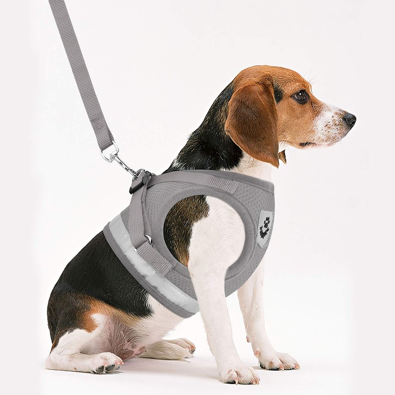 GAUTERF Kitten and Puppy Universal Harness with Leash Set, Escape