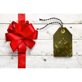 K-Kraft Kraft Tags for Gift Wrapping and Labeling (Vintage Xmas Tags)