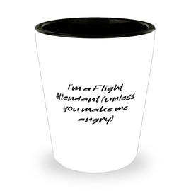 Perfect Flight attendant Gifts, I'm a Flight Attendant (unless you make me angry), Funny Shot Glass For Coworkers From Friends, Travel, Airplane, Pilot, Luggage, TSA