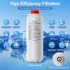 AIZGUOGL Compatible with 51600C1PC Filter, Replace for Elkay Water Filter