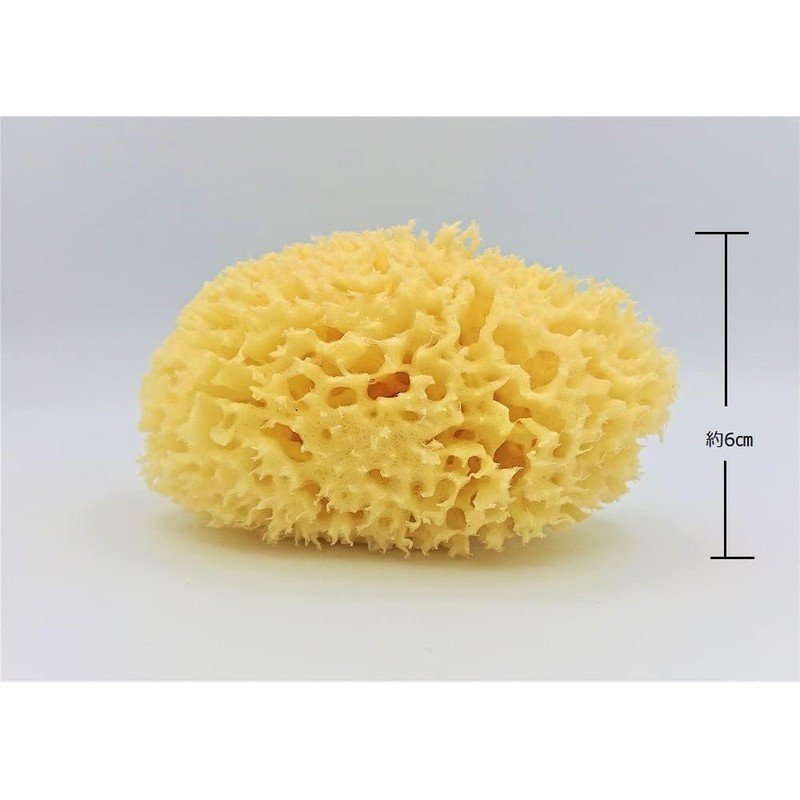 Natural Sea Cotton Body Sponge L