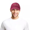 DALIX Pi Kappa Alpha Greek Letters Ball Cap Embroidered Fraternity