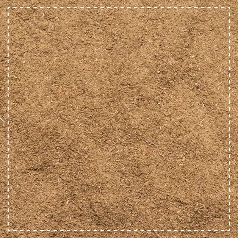 Brahmi Organic Powder, 250 g, Bacopa Monnieri, Memory Plant, Vegan,