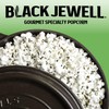 Black Jewell Gourmet Popcorn Kernels, Variety Pack with Original Black,
