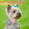 RENEWREVITAL Dog Collars for Small Dogs, Flower Design, Puppy Collar