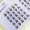 CLEAREYELASH False Eyelashes for Partial, Large Capacity, 50 pcs, Korea,