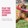 Kong Signature Stick Juguete para Perro con Cuerda