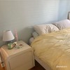 BACKDROP | Premium Interior Paint | Large Adhesive Paint Swatch