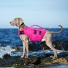Kuoser Dog Life Jacket, High Flotation Dog Life Vest for