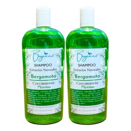 Shampoo Bergamota Y Extractos Naturales Organicos 2 Pzas