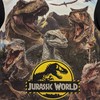 Jurassic World Boys Pyjamas - Long Sleeved - 4 to