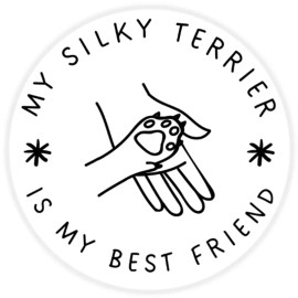 Kiwi Gifts My Silky Terrier is My Best Friend - 3 Pack Circle Stickers 3 Inch - Dog Pet
