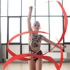 Abeillo 2pcs Rhythmic Dance Ribbons, 78.7 Inch Gymnastics Ribbon Dancer