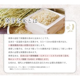 Kibo's Alpha Rice Flour, 8.5 oz (240 g) x 3 Bags, Small Amount, Germinated Brown Rice Flour, For Bread, Low Water Absorption, Perfect for Making Bread, Additive-free, Home Bakery, Gluten Free, Kibo