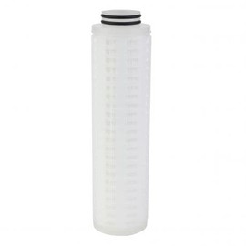 IPW Industries Inc-Watts-FPP-0.2-10-222 Flowmax HP 222 Pleated Filter 0.2 Micron 10 in