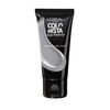 L'Oreal Colorista Hair Makeup Silver Grey Brunette Temporary Hair Colour