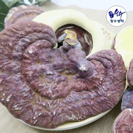 Domestic whole reishi mushrooms 500g round reishi mushrooms / 국내산 통 영지버섯 500g 원형 영지버섯