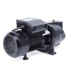 PanDair 110V 3/4 HP Self-Priming w/Pressure Switch Shallow Water Pump