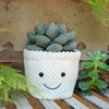 Apricot Lamb Soft Succulent Plant Plush Toy, Stuffed Green Pot,