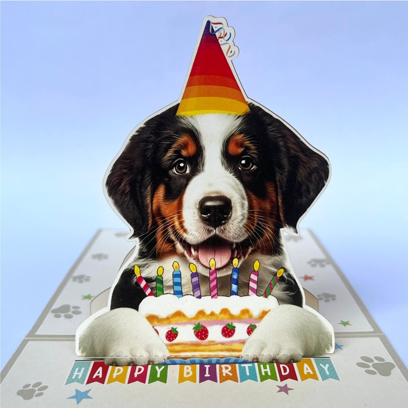 Crazytops Bernese Mountain Dog Birthday Card, Pop-Up, 6 x 6