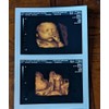 Prank 3D COLOR Customized Fake Ultrasound Strip of 2 Photos