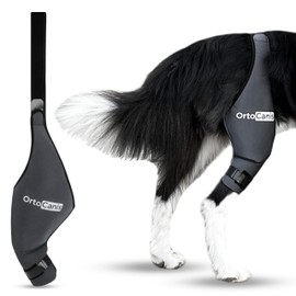 Ortocanis Dog Knee Brace for Torn Acl Hind Leg, Cruciate Ligament Injuries, Patella Dislocation or Osteoarthritis - Dog Acl Knee Brace - Dog Braces for Back Leg for Support (XXX-Small, Left Leg)