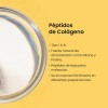Colágeno Hidrolizado Entera Pharma 500g Colageno En Polvo Sin sabor
