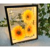 HanYun Shadow Box Frame with LED Light, Box Frames for