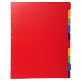 Exacompta 86003E Plastic Index Extra Wide Red For DIN A4 24 x 30.5 cm Full Height with Organisational Print 10 Pieces Full Colour 2 x 5 Colours for Filing Document Sleeves