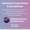 Element Longevity Human Strain Bifidobacterium Adolescentis Probiotic | Fewer Urgent