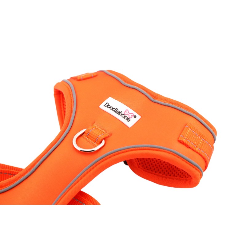 Doodlebone Adjustable Airmesh, Tangerine, 4-7