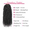 Leeven Leeven 10 Inch 8 Packs Pret wisted Passion Twist