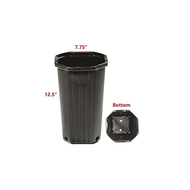 Stuewe & Sons – TP812 Treepot – 8” x 12”