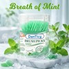 Stuzzicadenti aromatizzati alla menta, stuzzicadenti interdentali, con setole morbide, per